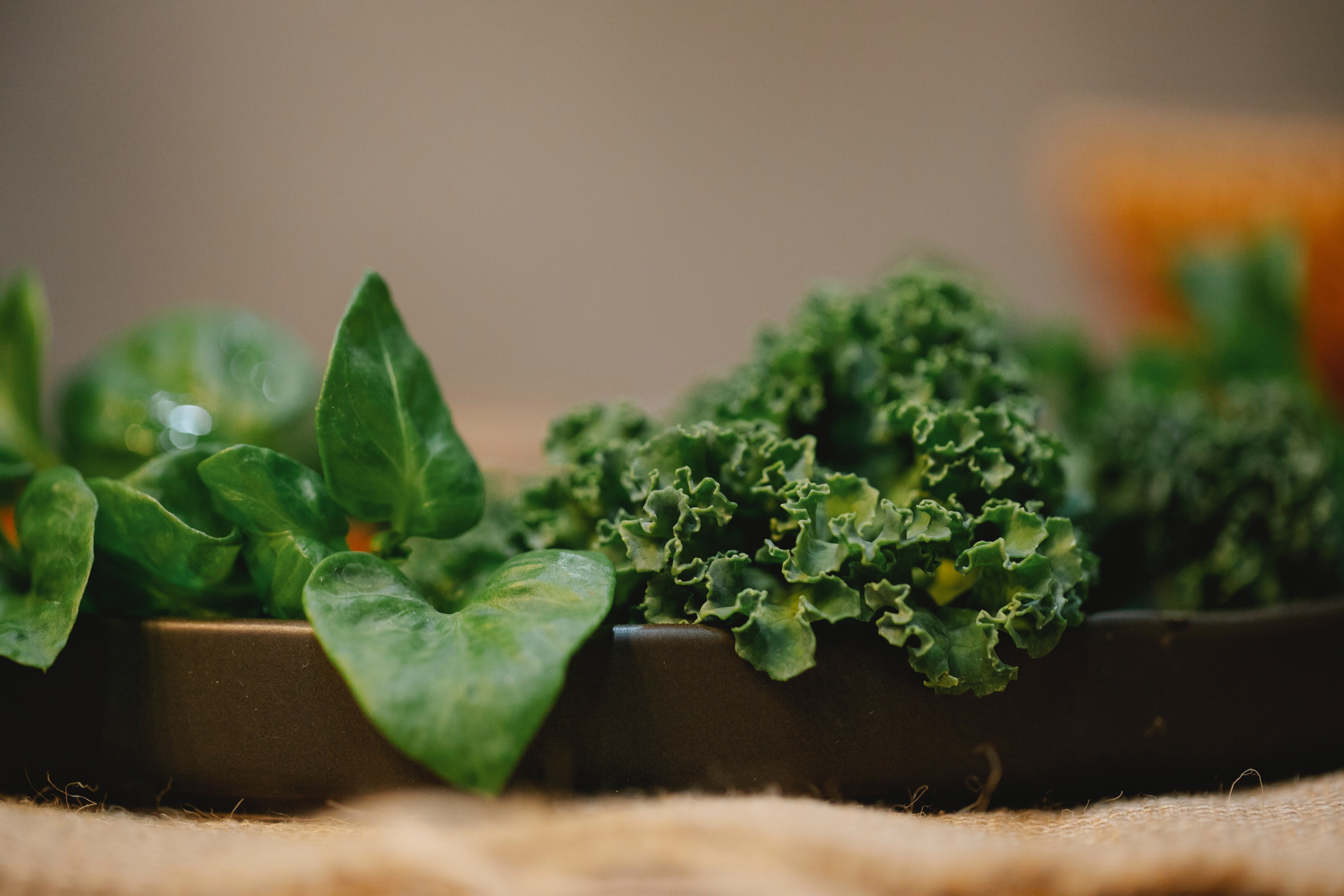 Green vegetables rich in Iron