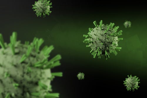 Virus cell illustration for immune function article